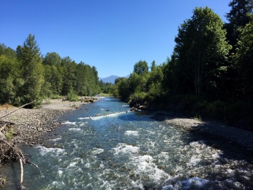 The Dungeness River, Olympic Peninsula Source: Diane Williams’s Photography