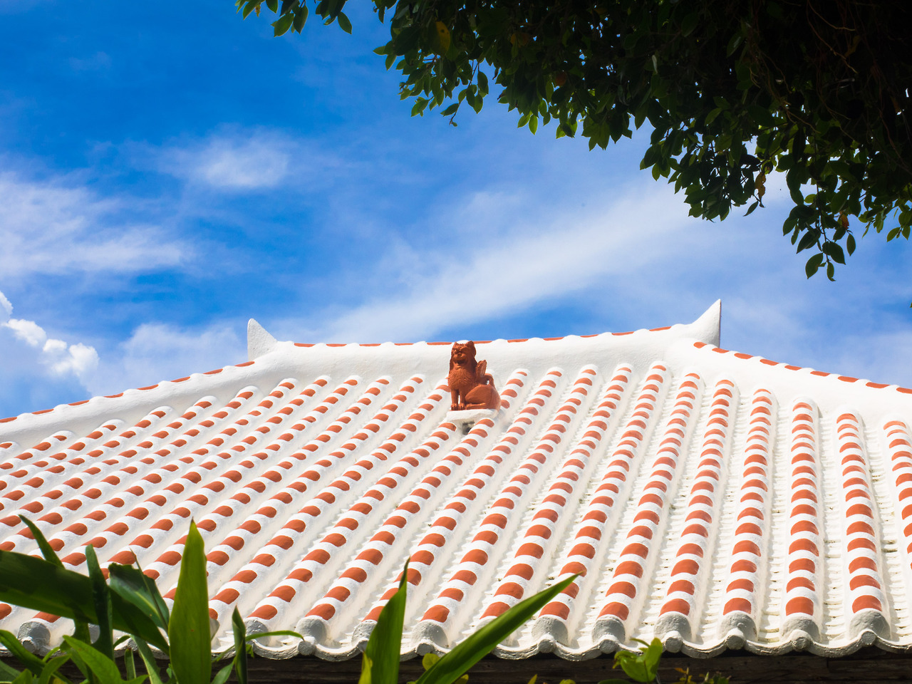 Okinawa Photo 沖縄風景写真 赤屋根とシーサー