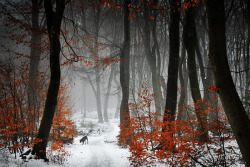 geometric-harmartia:Reds by Nelleke Pieters