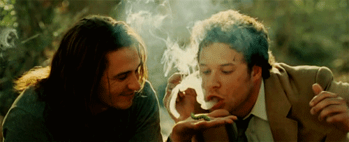 Marijuana & Kitties