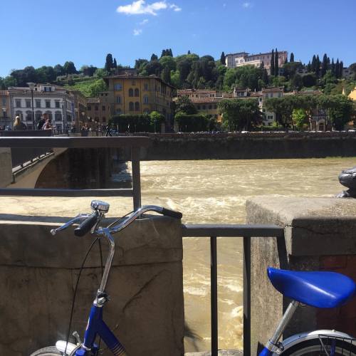 Enjoying Florence by bicycling is definitely a good idea!#beautiful #trees #nature #bluesky #trave