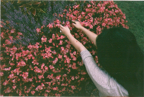 englishsnow:  by lemonblond 