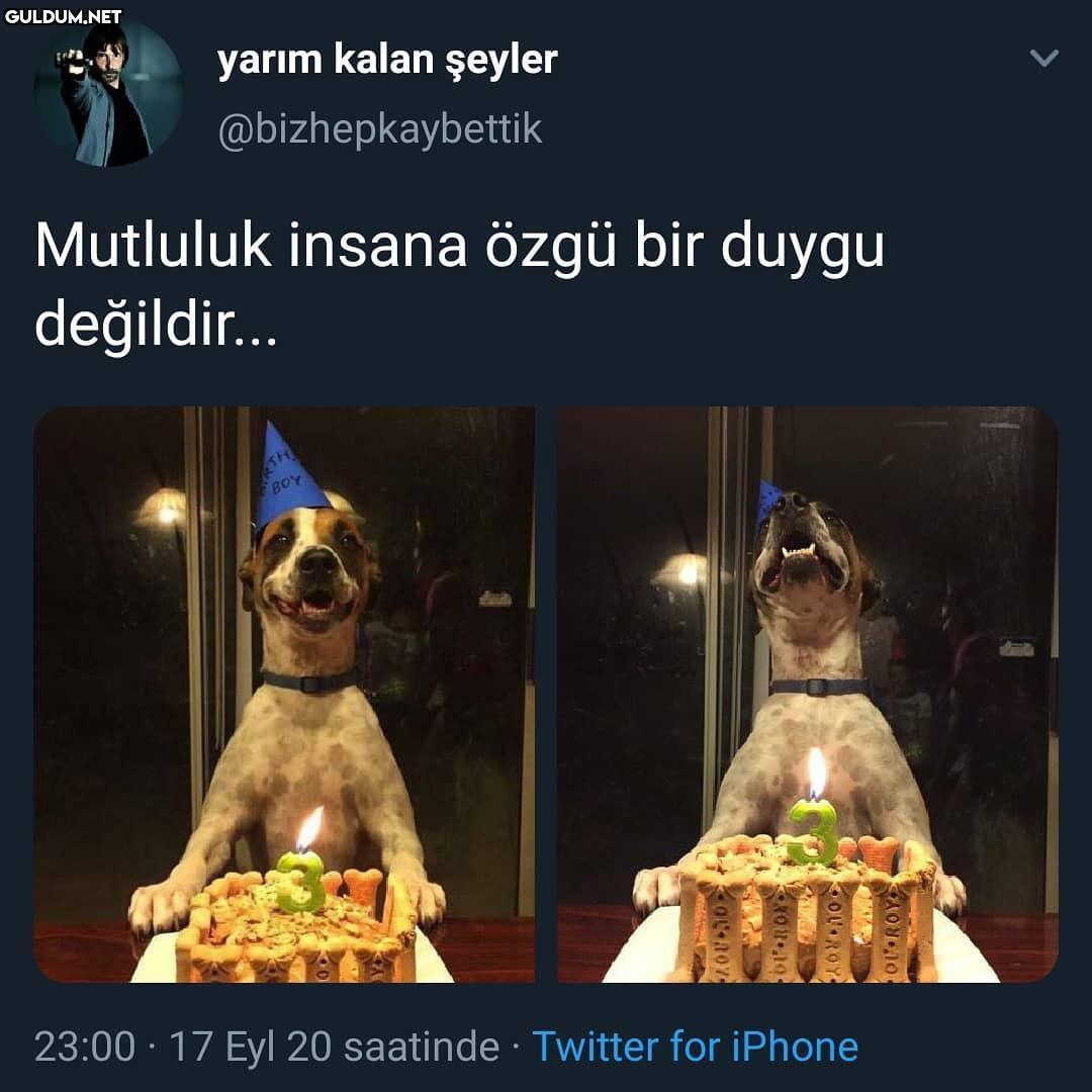 yarım kalan şeyler...