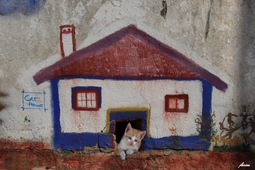 Faro, Portugal (via Isabel Batista)