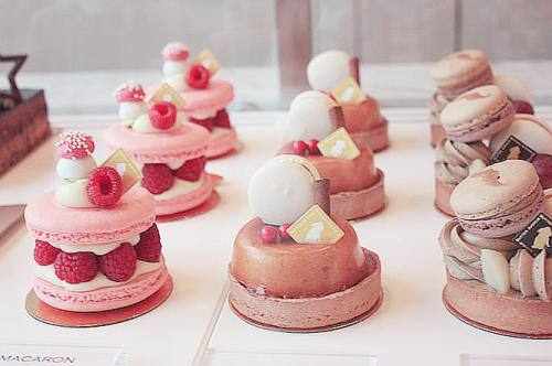 rainingteadrops:  Like an Ispahan (by lissacupid) on flickr