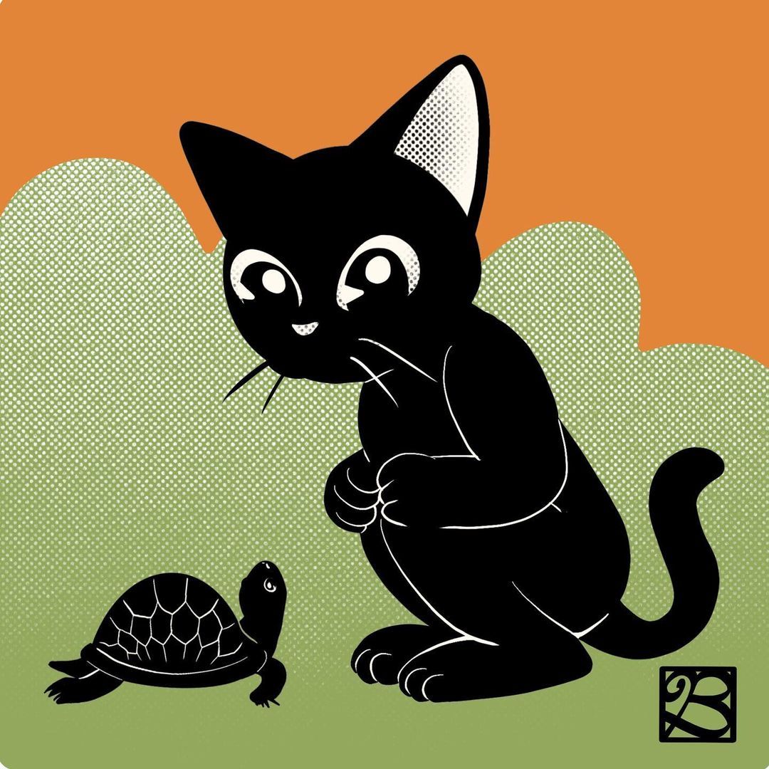 Batkei Turtle And Black Cat By Batkei Batkei Turtle And Black Cat By Batkei