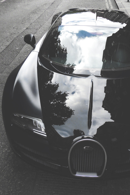 Luxury Buzz
