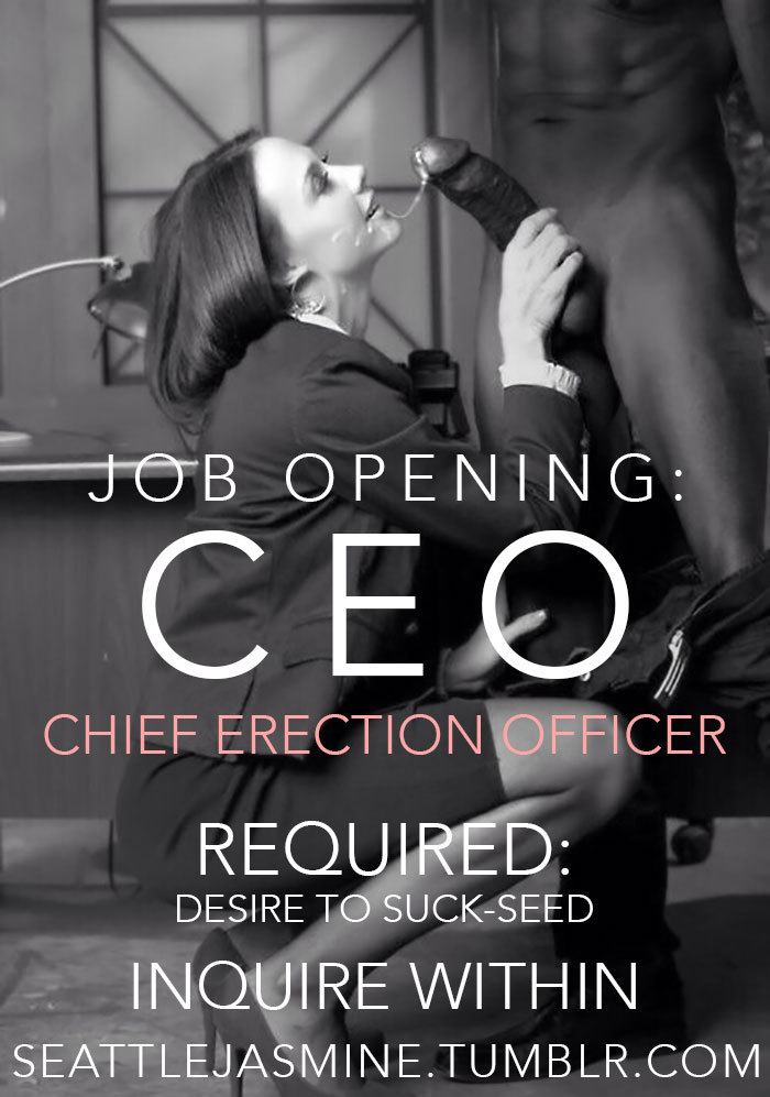 seattlejasmine:  http://seattlejasmine.tumblr.com Job Opening: CEO - Chief Erection