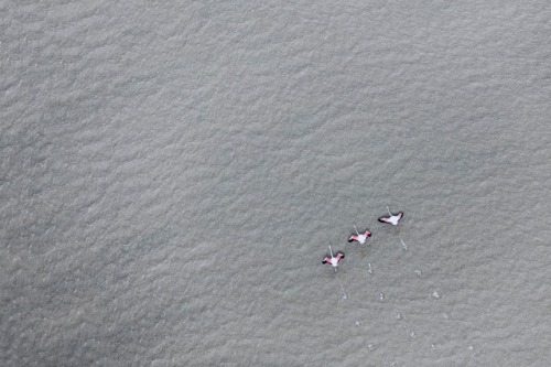 myampgoesto11: Breathtaking aerial photography by Zack Secklerfollow My Amp Goes To 11 (@nouralogica