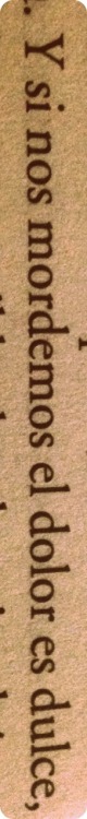 paola-7u7:  typewriter-69:  «Y si nos mordemos el dolor es dulce,»— Rayuela, Julio Cortázar.   Mas en los labios 