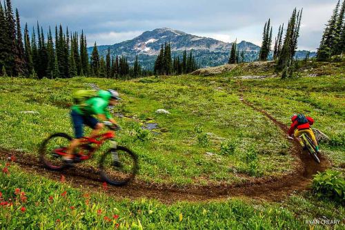 dfitzger:  by @bikemag: @incognitomtb and @lb_bikes carve into prime Revelstoke, BC dirt. #BikeMagPO
