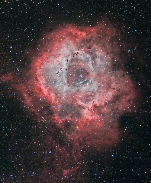 A Cosmic Rose: The Rosette Nebula in MonocerosThe Rosette Nebula, NGC 2237, is not the only cosmic c