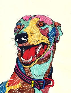 kaelkasabian:  Dog - Perro - Galgo - Colors. 
