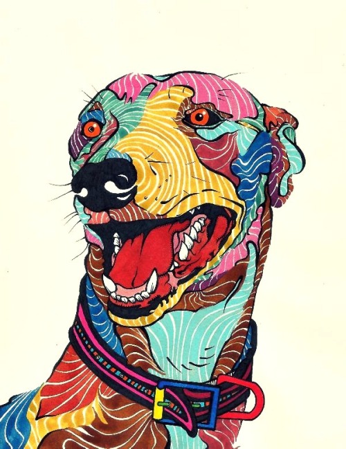 kaelkasabian - Dog - Perro - Galgo - Colors.