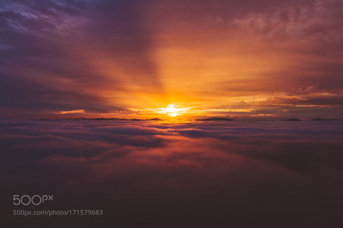 Above the Clouds by Reillyhunter