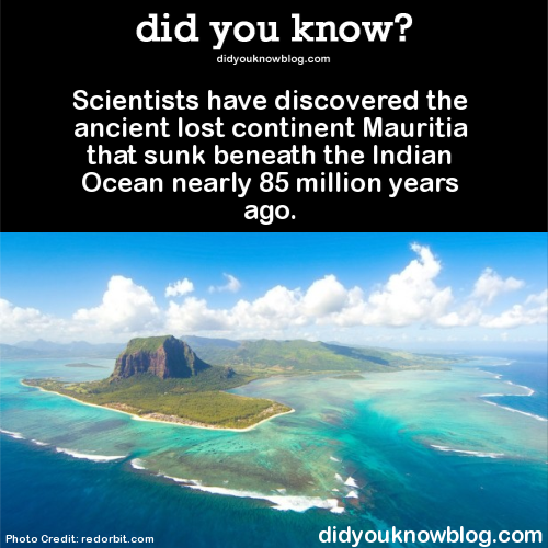 did-you-kno:  Scientists have discovered the ancient lost continent Mauritia that sunk beneath the Indian Ocean nearly 85 million years ago. Source