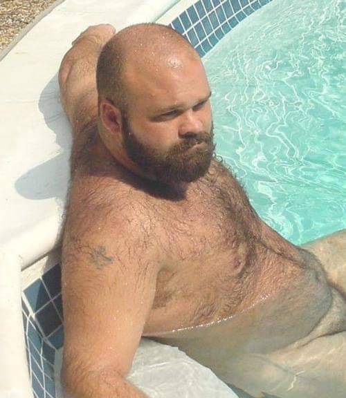 Los osos que quiero