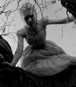 DIE WITHOUT HOPE