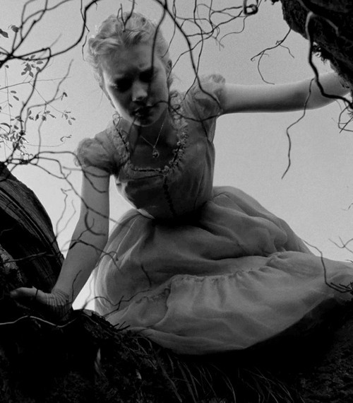 DIE WITHOUT HOPE