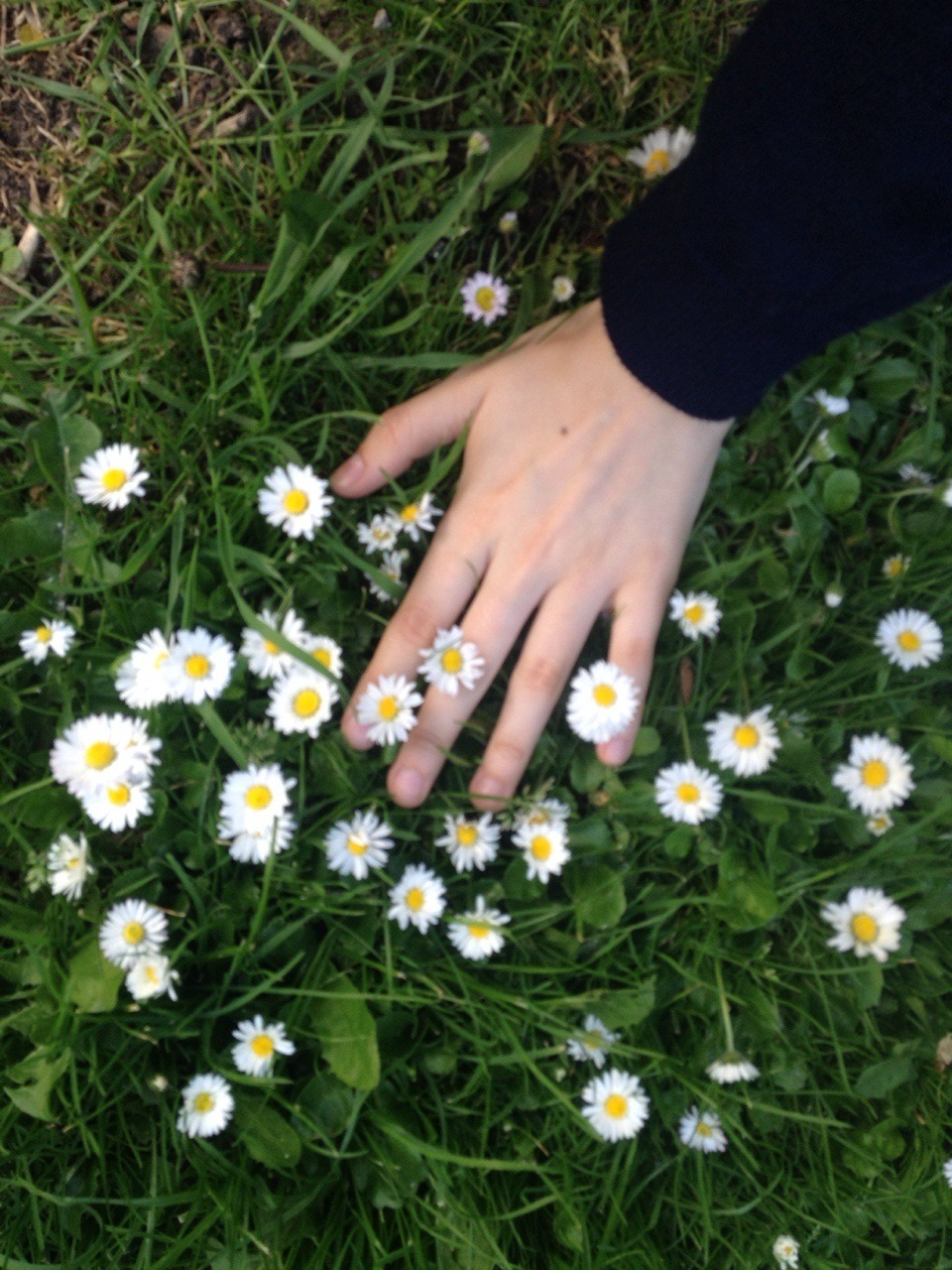 stefanysite:  spring.  