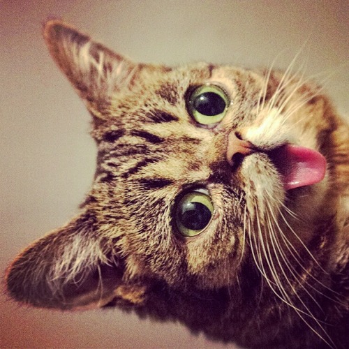 bublog:  ∑8þ 