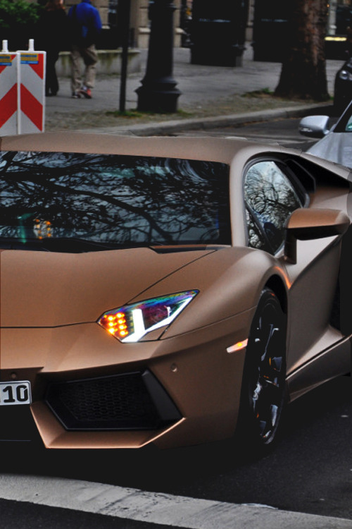 zxxxxvxvsvv:  Aventador | via 
