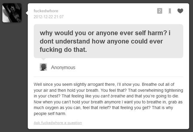 hollowribs:  I just had to screenshot it, that’s the most perfect answer ever Matt.