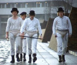 toastradamus:me and the lads walking to the voting office to vote for Bernie Sanders 