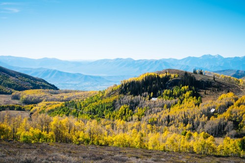 Autumn in the Wasatch MountainsPhotography by Korey Klein