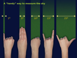 ottermatopoeia:  wellummerr:  scienceisbeauty:  Measuring the sky, the handy way. Source: Free Astronomy Teaching Resources (Starry Night)  Hit me up if you’d like 5° inside you  