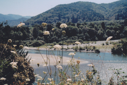 journey-to-nirvana:  aponytale:  Landscape on We Heart It.  •swell• 