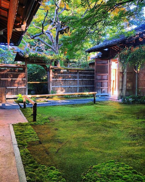 茶寮 宝泉 [ 京都市左京区 ] ② Saryo Hosen Garden, Kyoto ーー京都の中心の喧噪から少し離れて。昭和の京都の和風邸宅で、枯山水庭園を眺めながら頂くあずき処の名店の味。 &