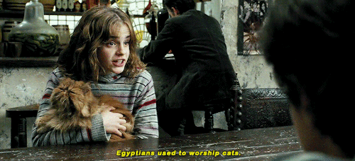 malfovy:“Egypt. What’s it like?”