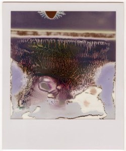 freyjageist:  Bill Miller, Ruined Polaroids 