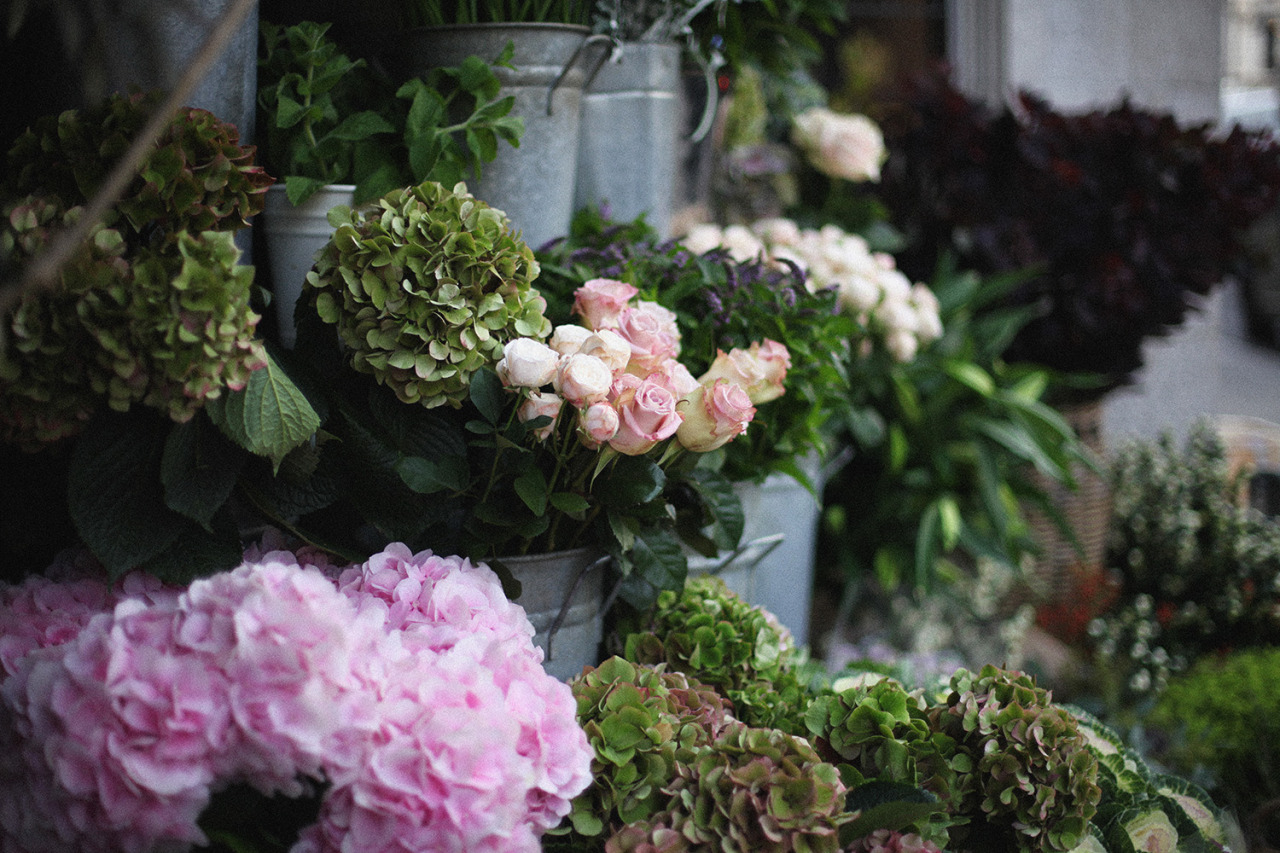 hawaiiancoconut:  Flower market at Liberty, London. 