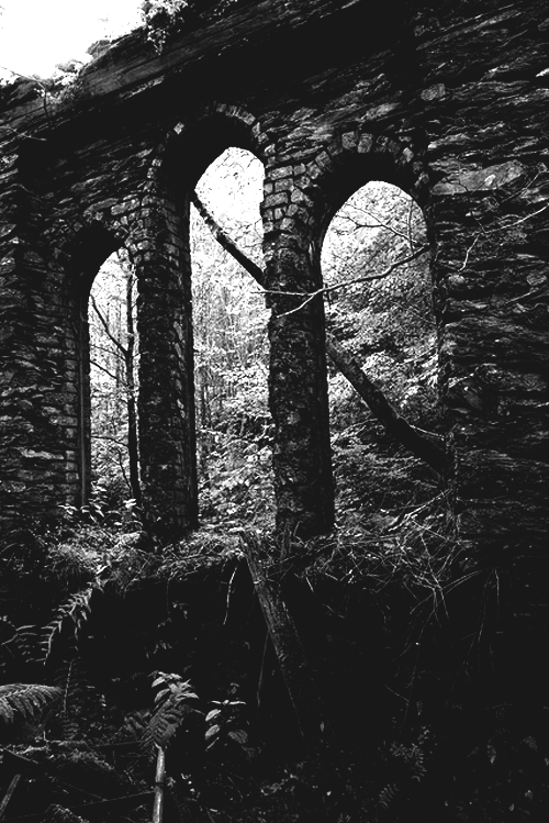d-yspathy:  Click here for more edits. ♥ 