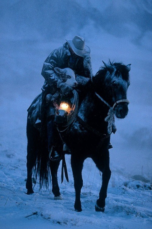 headlesssamurai:  “The true strength of a man is most evident when his soul shines and no one is looking.” 