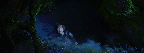 nefertsukia: miyku: HOW TO TRAIN YOUR DRAGON: THE HIDDEN WORLD hiccup nO