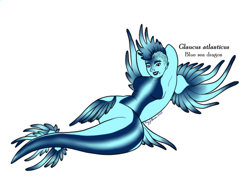 Glaucus atlanticus the blue sea dragon. Thought I’d touch up some old work and put something out for