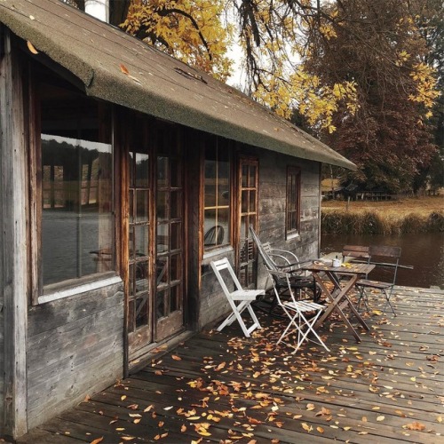 pumpkinwishbones:  a-delightful-moment:  Paulina Ostrowska   autumn/halloween all year