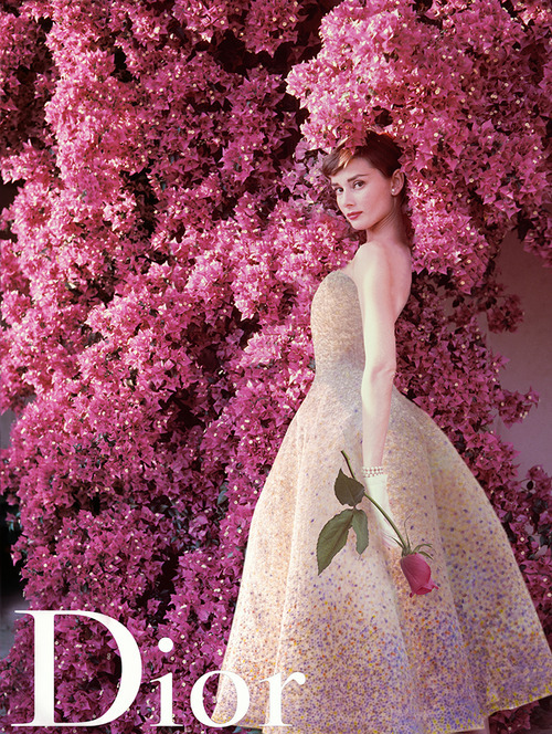 Porn photo brunchatbergdorfs:  Audrey Hepburn for Miss