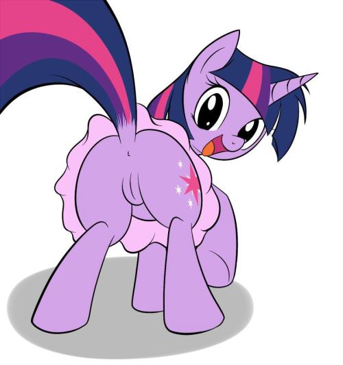 rainbowshyofkindness:  Twilight post 