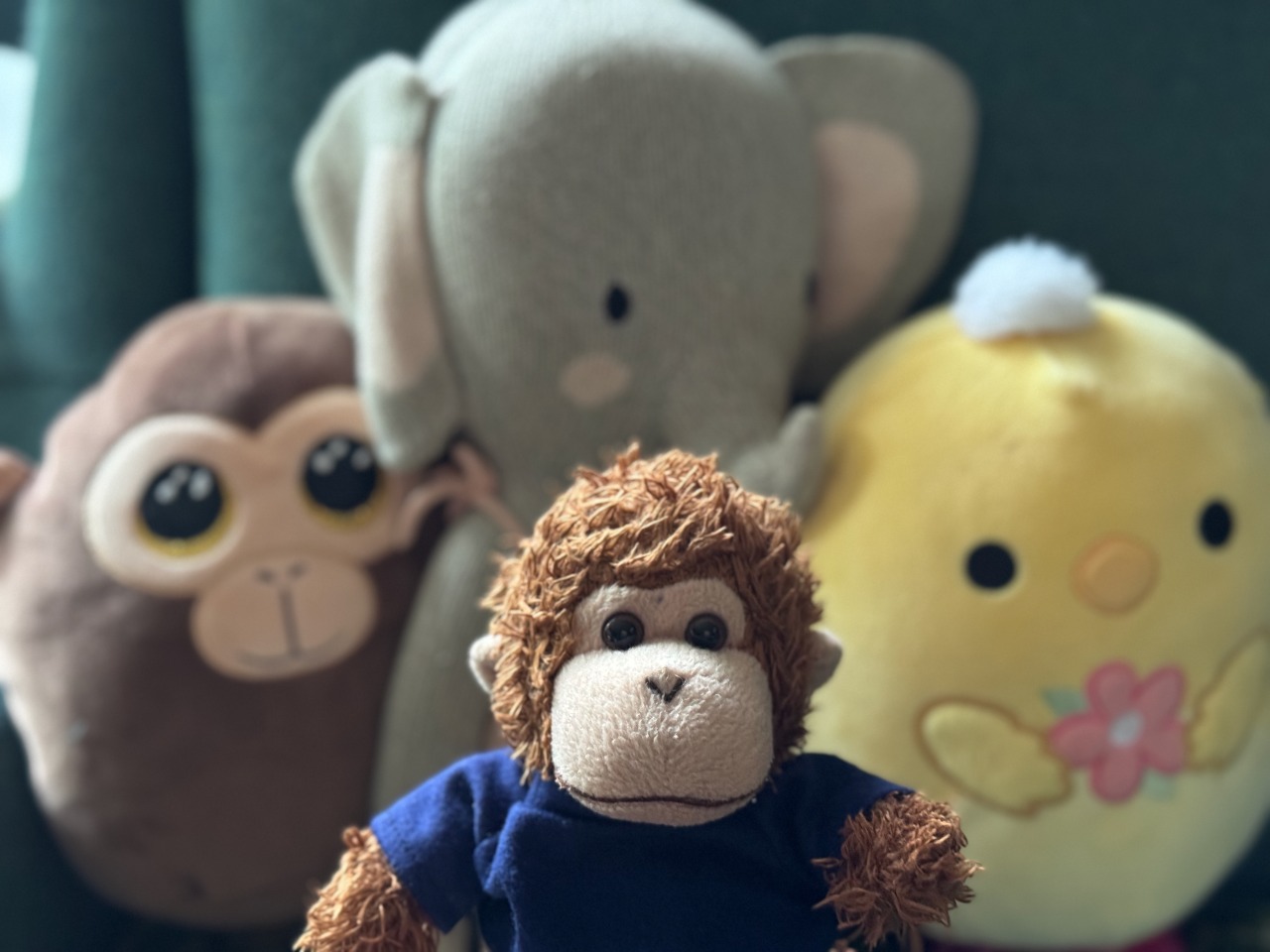 Bob T. Monkey with some of his friends.
