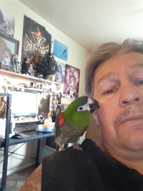 My Hahn's Macaw Drago. He Is My Rescue Birdy. We Have Been Through Alot Over The Years.He Is My Best