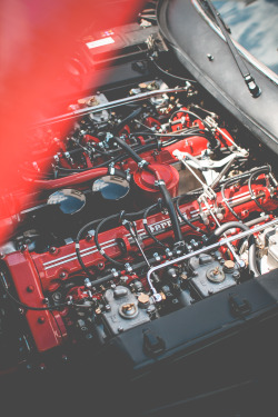 visualempire:  Ferrari’s Real Engines | viktorhanacek | Tumblr