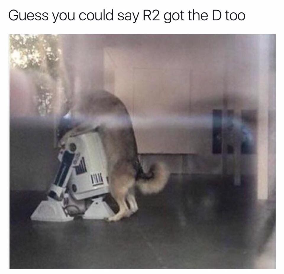 lolfactory:  Everyone needs a little love after a ruff day [source]✪Join Prime