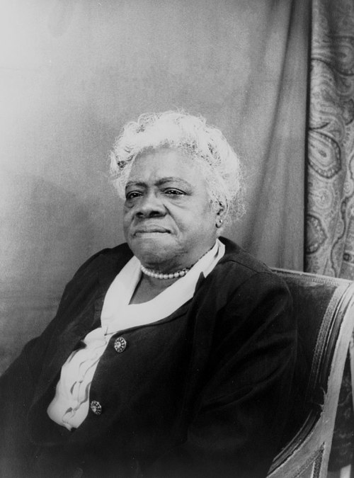 blondebrainpower:  Mary McLeod Bethune July 10, 1875 – May 18, 1955The daughter of former slaves, Mary McLeod Bethune was an American educator, stateswoman, philanthropist, humanitarian, womanist, and civil rights activist. In 1924, she was elected