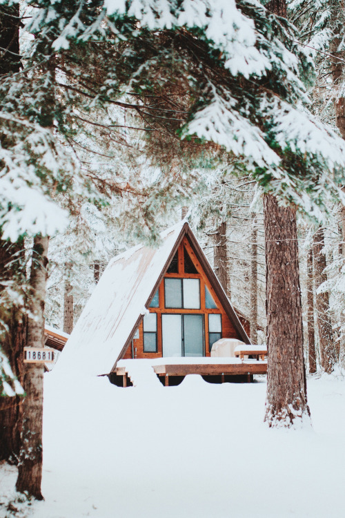 banshy: Home in the Snow // Berty Mandagie