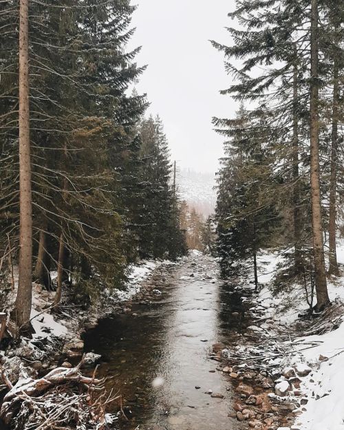 Zimowe podróże, które nigdy nie trafiły na Instagram.  ❄❄❄ Koscielisko, Poland Februar