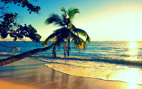 chroniczipsandbongrips:  i’d smoke there